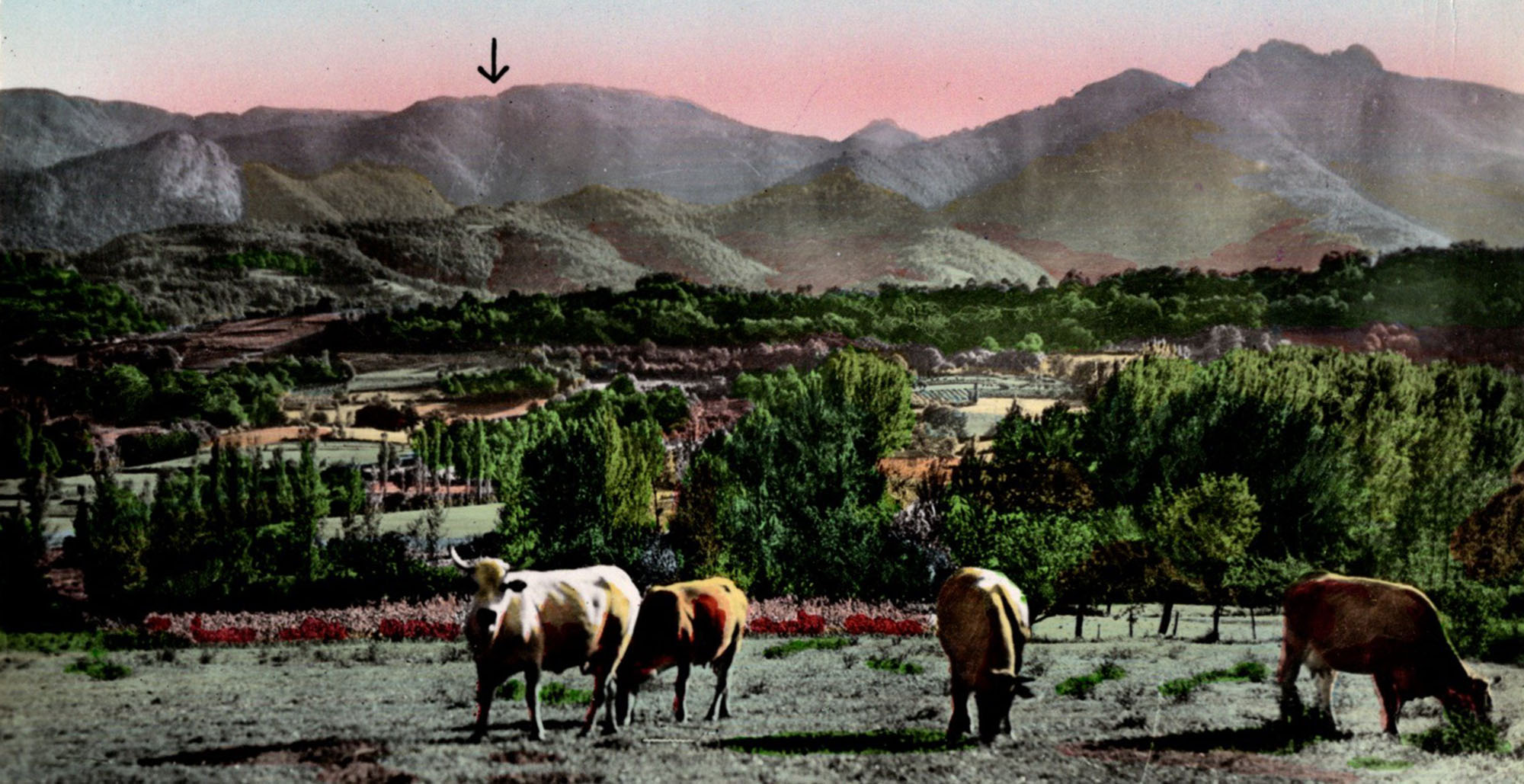 Le massif de Paloumère